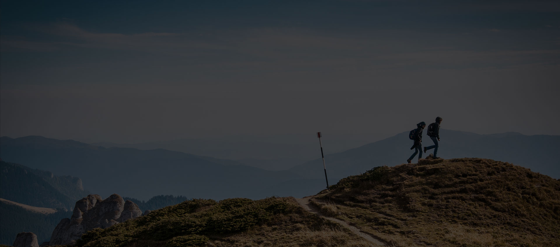 智營(yíng)有道 睿行無(wú)邊